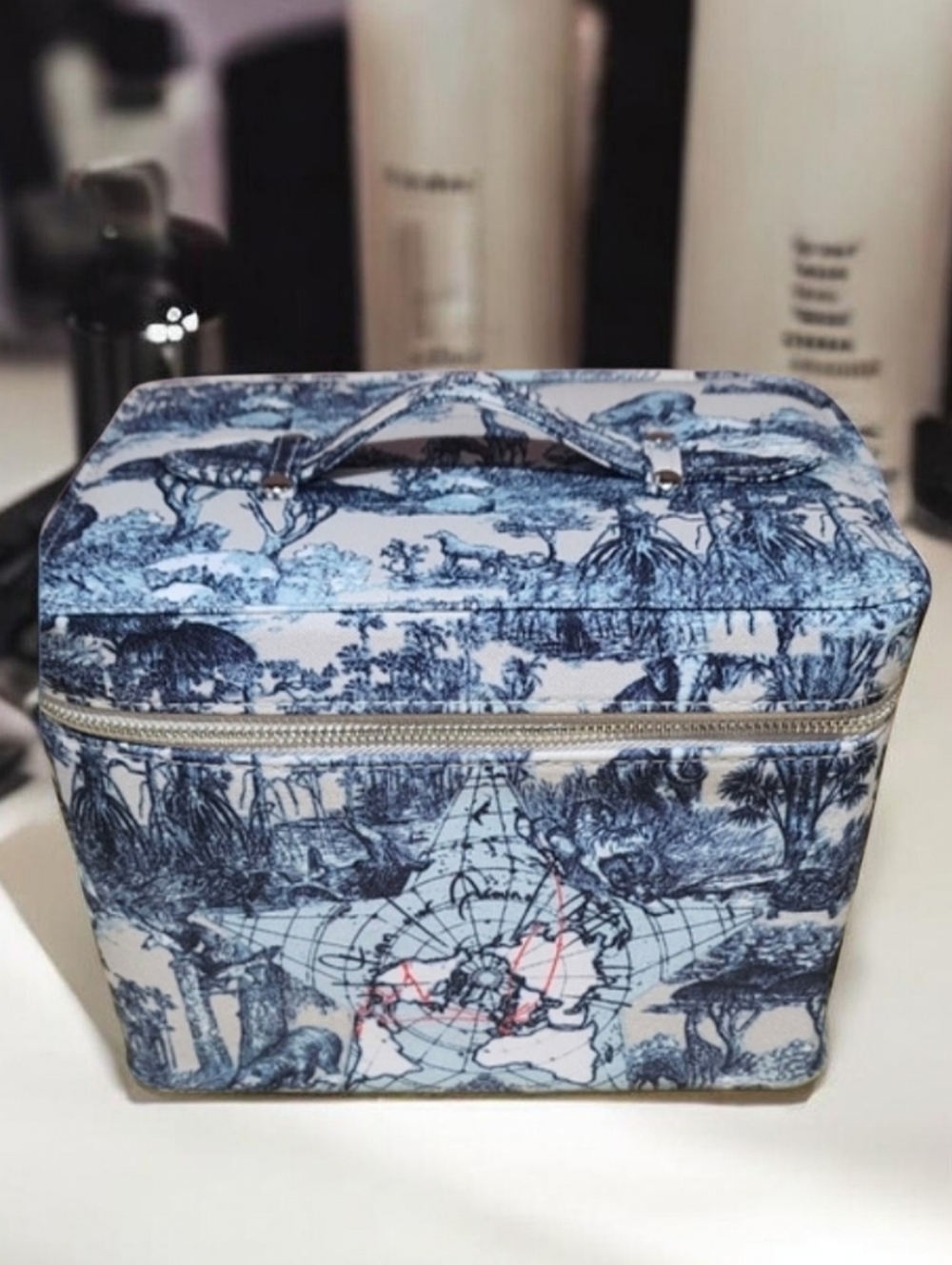 Dior Around The World Train Case